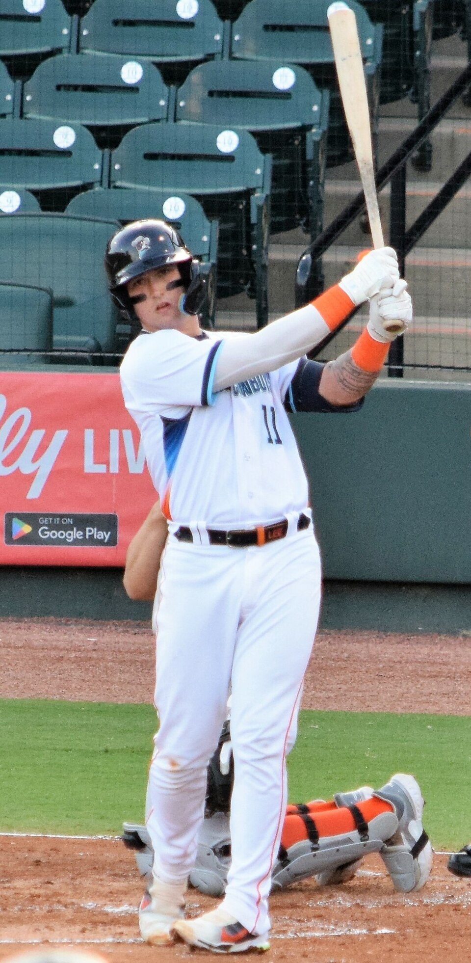 Unexpected Search Results: Celtics Dominate 